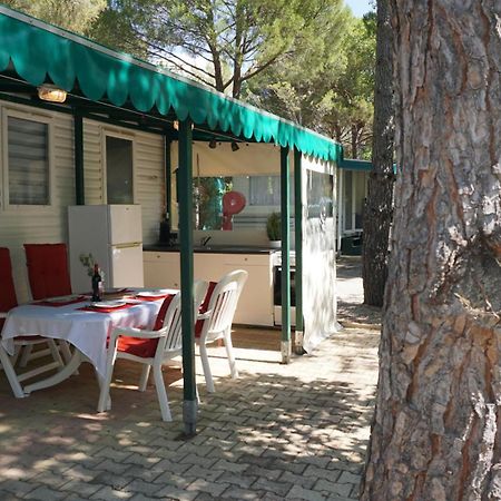 Chalets Met Buitenkeuken Op Camping Lei Suves - Joycasa Roquebrune-sur Argens Exteriör bild