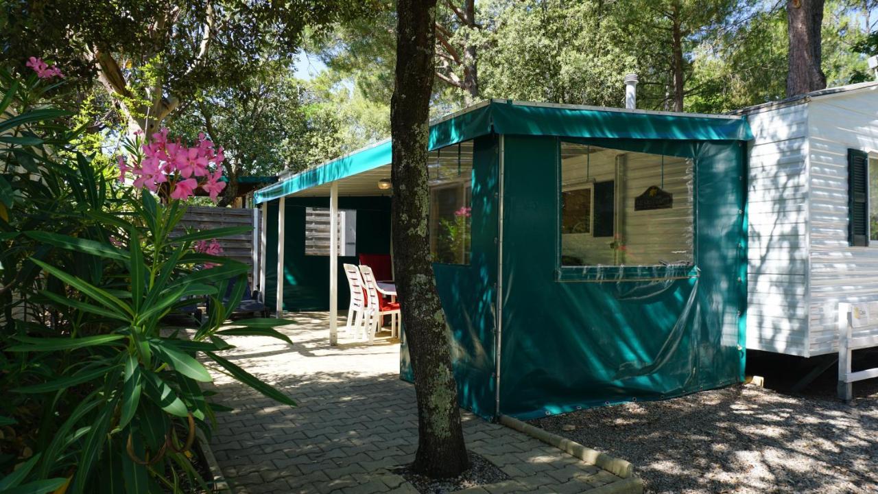 Chalets Met Buitenkeuken Op Camping Lei Suves - Joycasa Roquebrune-sur Argens Exteriör bild