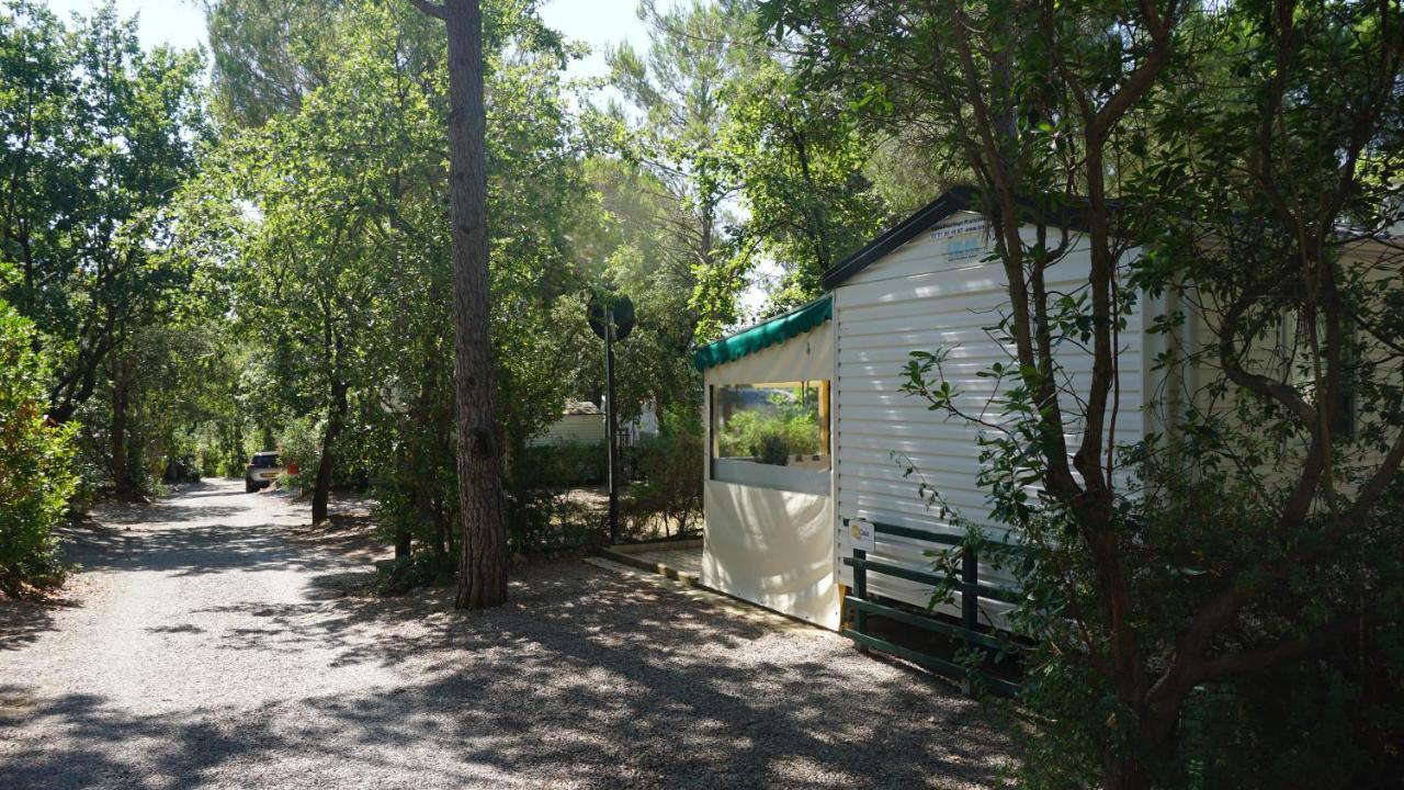 Chalets Met Buitenkeuken Op Camping Lei Suves - Joycasa Roquebrune-sur Argens Exteriör bild