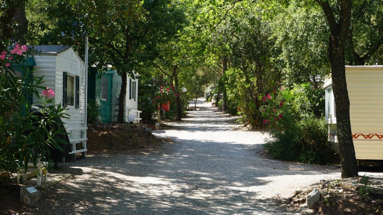 Chalets Met Buitenkeuken Op Camping Lei Suves - Joycasa Roquebrune-sur Argens Exteriör bild
