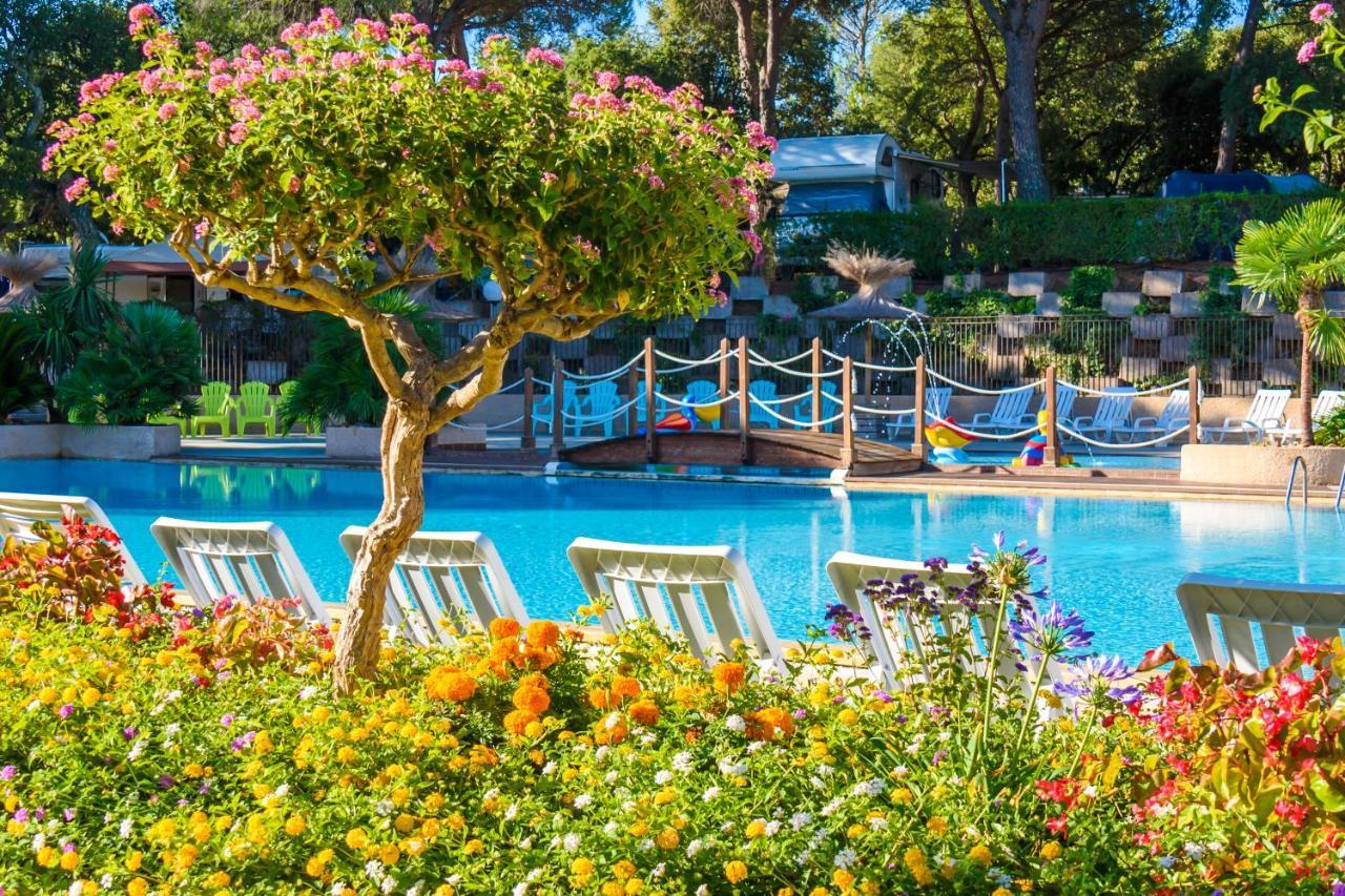 Chalets Met Buitenkeuken Op Camping Lei Suves - Joycasa Roquebrune-sur Argens Exteriör bild