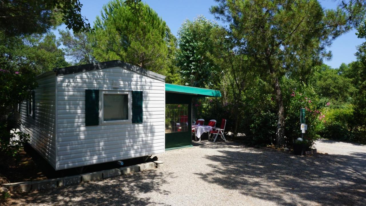 Chalets Met Buitenkeuken Op Camping Lei Suves - Joycasa Roquebrune-sur Argens Exteriör bild