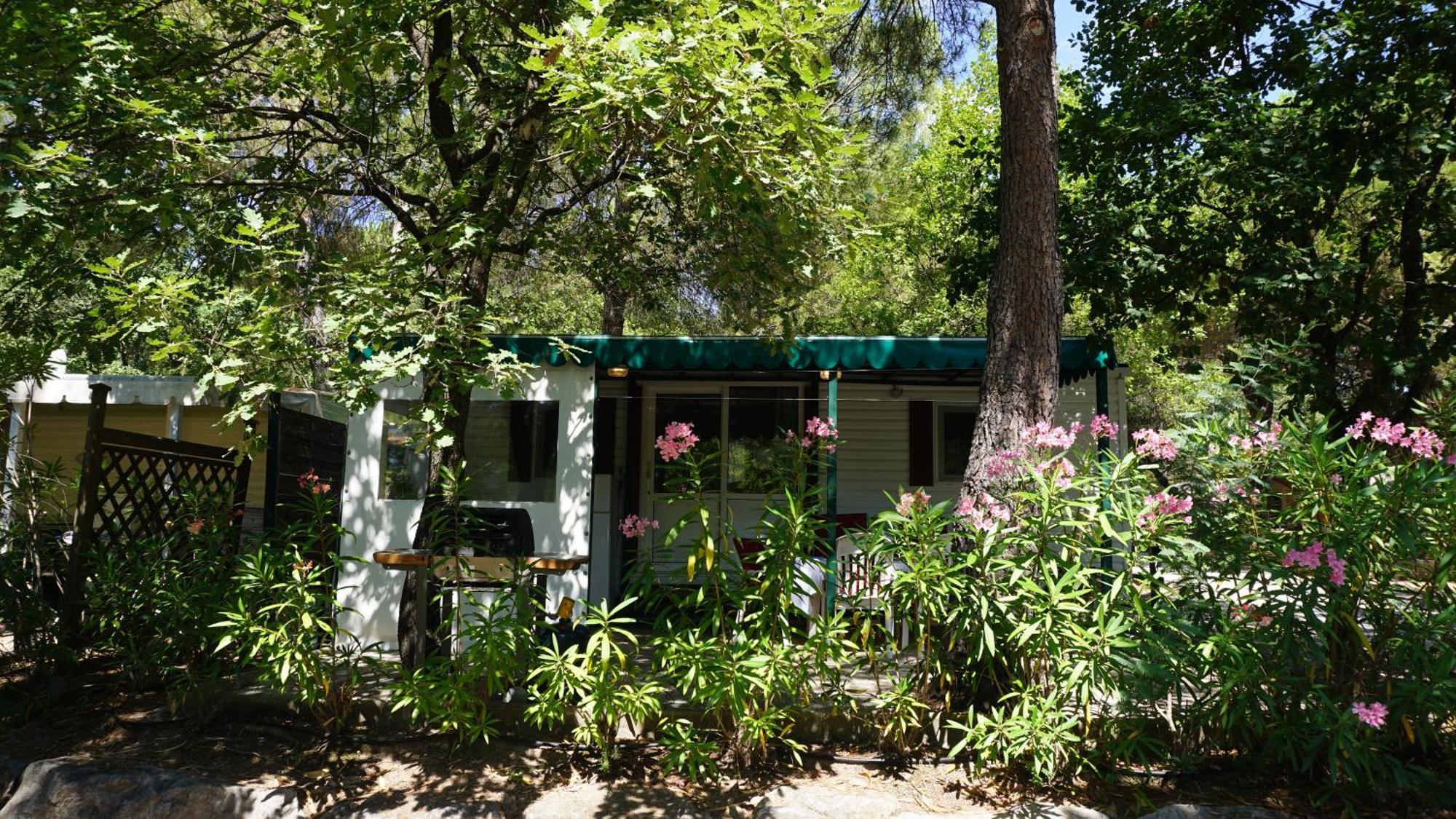Chalets Met Buitenkeuken Op Camping Lei Suves - Joycasa Roquebrune-sur Argens Rum bild